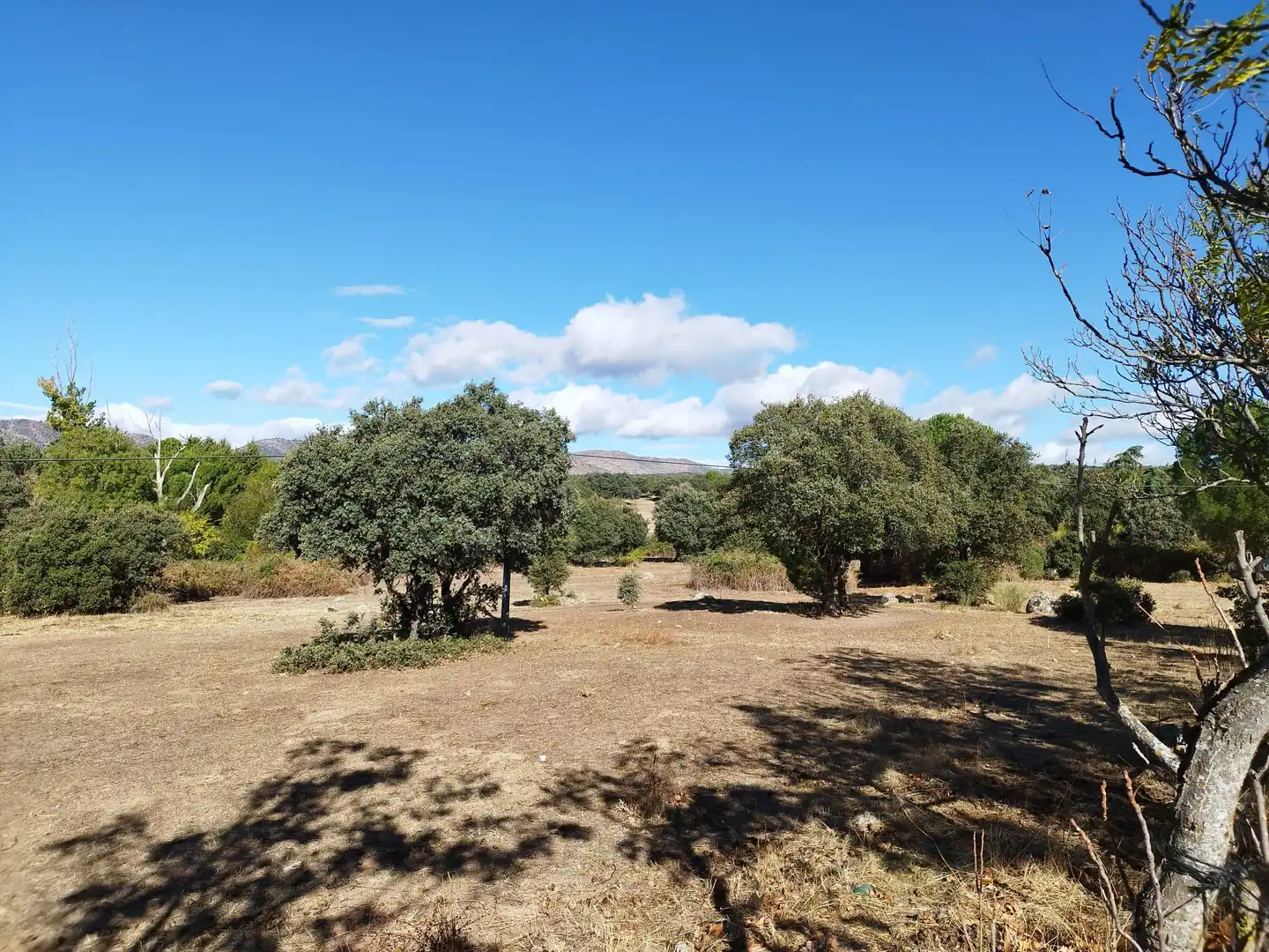 Terreno en venta en Colmenar del Arroyo