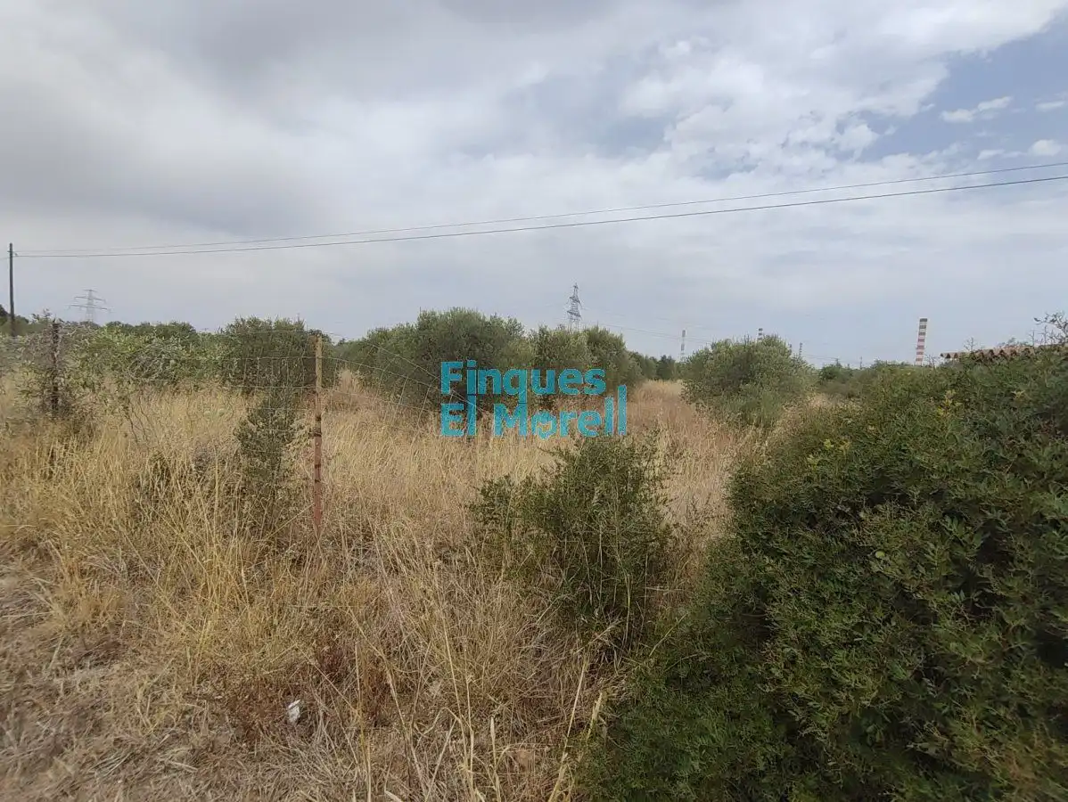 Finca rústica en venda en Constantí