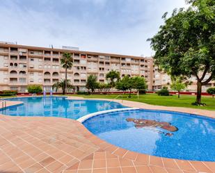 Piscina de Àtic en venda en Torrevieja amb Aire condicionat, Jardí privat i Terrassa