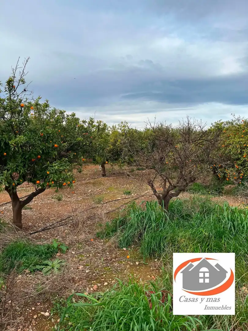 Terreno rustico in vendita a moli de llop, imagen 9