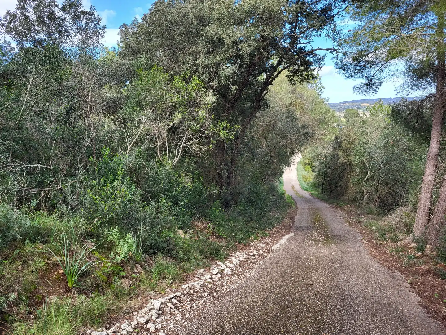 Terreni e lotti in vendita a Sant Joan, imagen 2