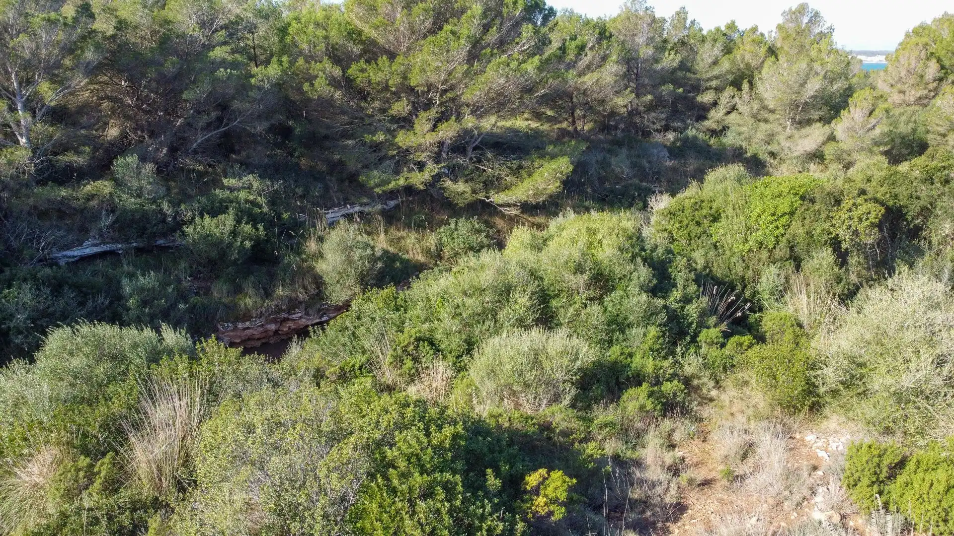 Terrenys i solars en venda a S'Estanyol, imagen 5
