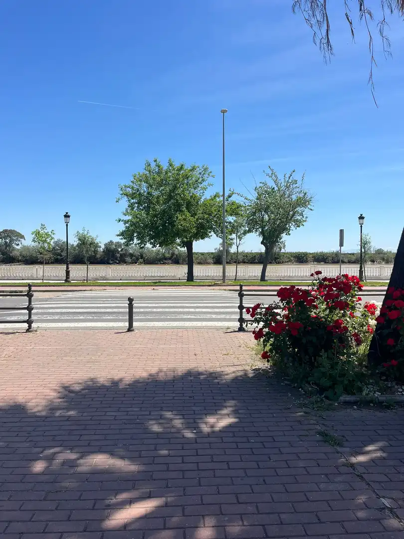 Terrenys i solars en venda a Coria del Río, imagen 17