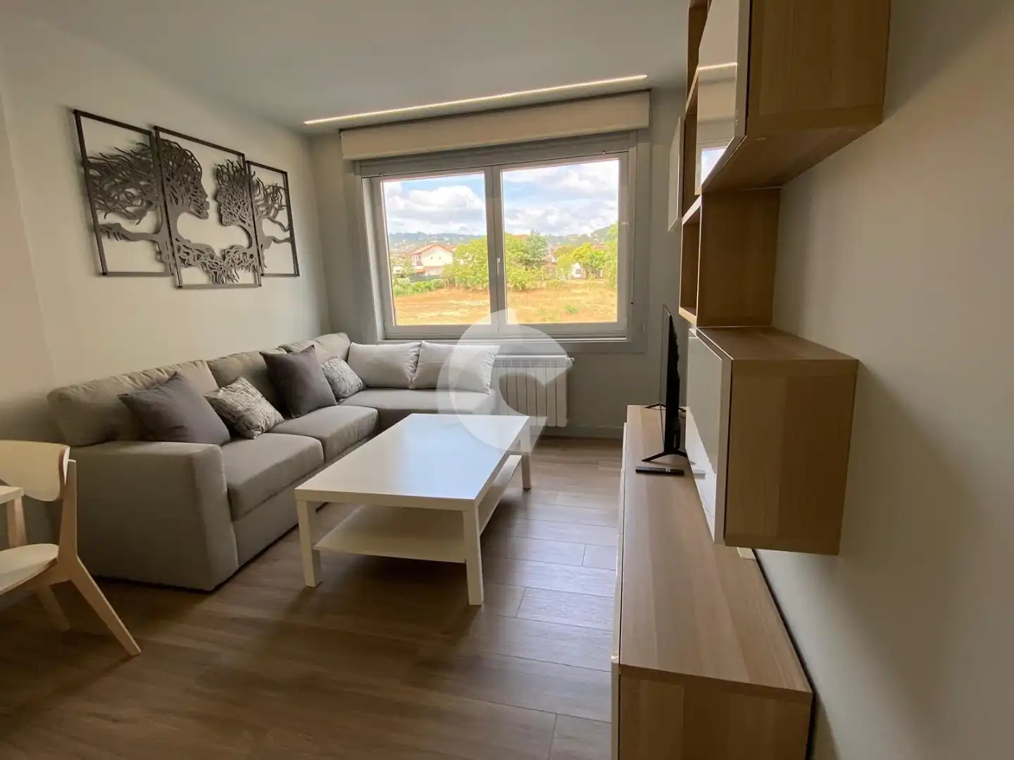Wohnzimmer von Wohnung zur Miete in Ourense Capital  mit Heizung, Möbliert und Balkon