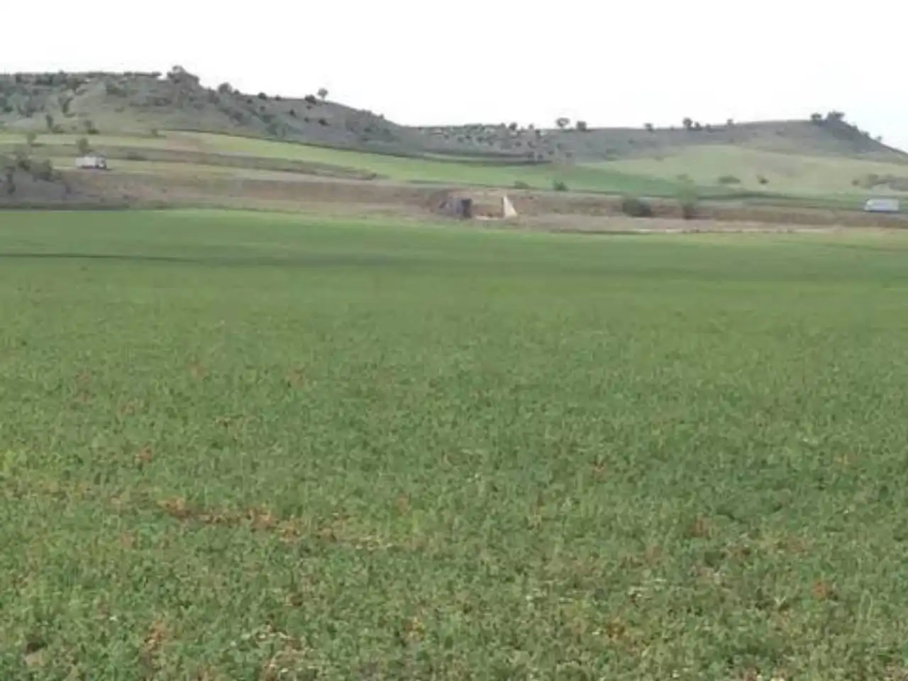 Terreny rústic en venda a Torres de la Alameda, imagen 6