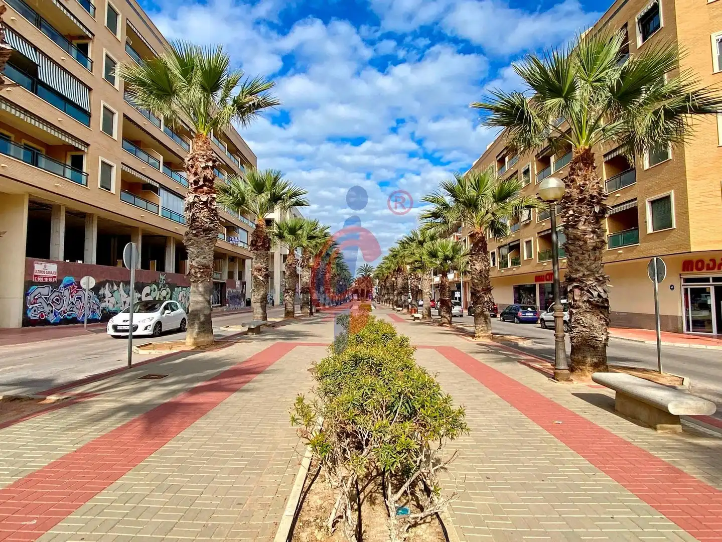 Vista exterior de Estudi en venda en Guardamar del Segura amb Aire condicionat, Calefacció i Terrassa