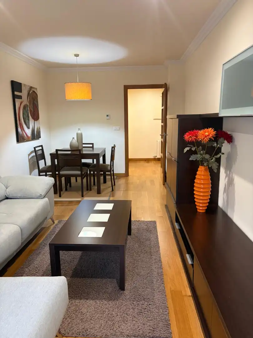 Living room of Flat for rent in A Parda