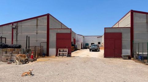 Foto 5 de Finca rústica en venda a Polígono 11 Parcela 23 Pelote. el Saucejo (sevilla, El Saucejo, Sevilla