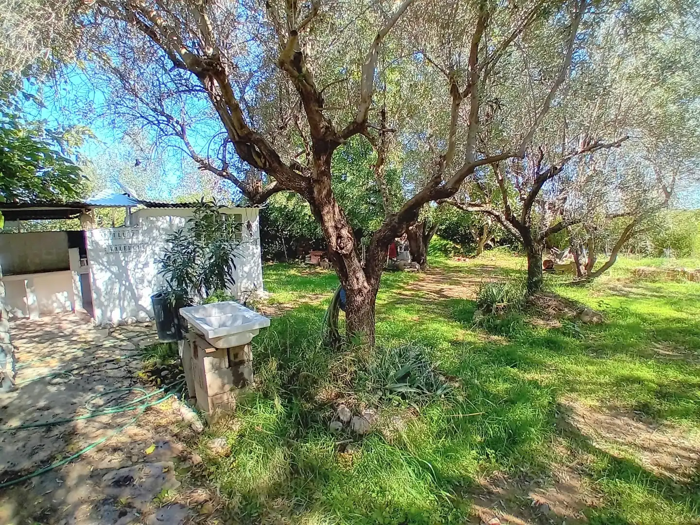 Jardí de Casa o xalet en venda en Cheste amb Jardí privat i Terrassa