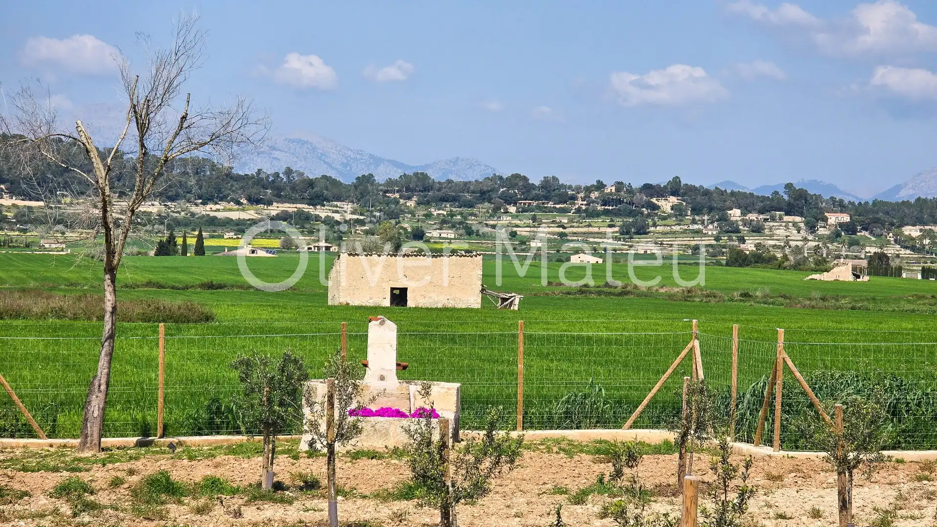 Villa avec piscine à vendre à Sineu, imagen 29