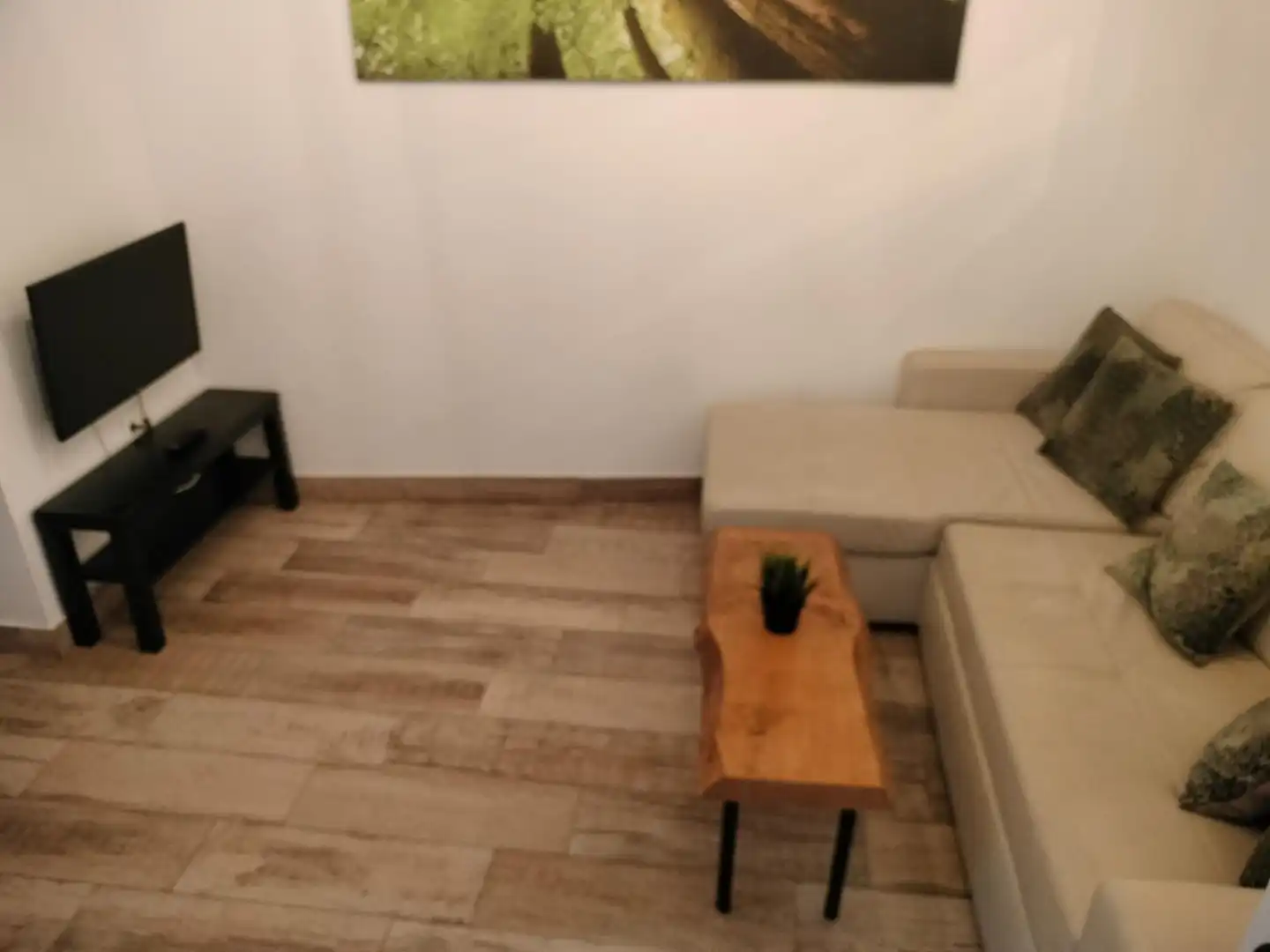 Living room of Apartments for rent in Cádiz