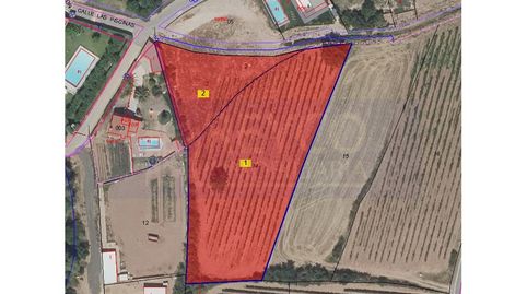 Terreno Venta Alesón