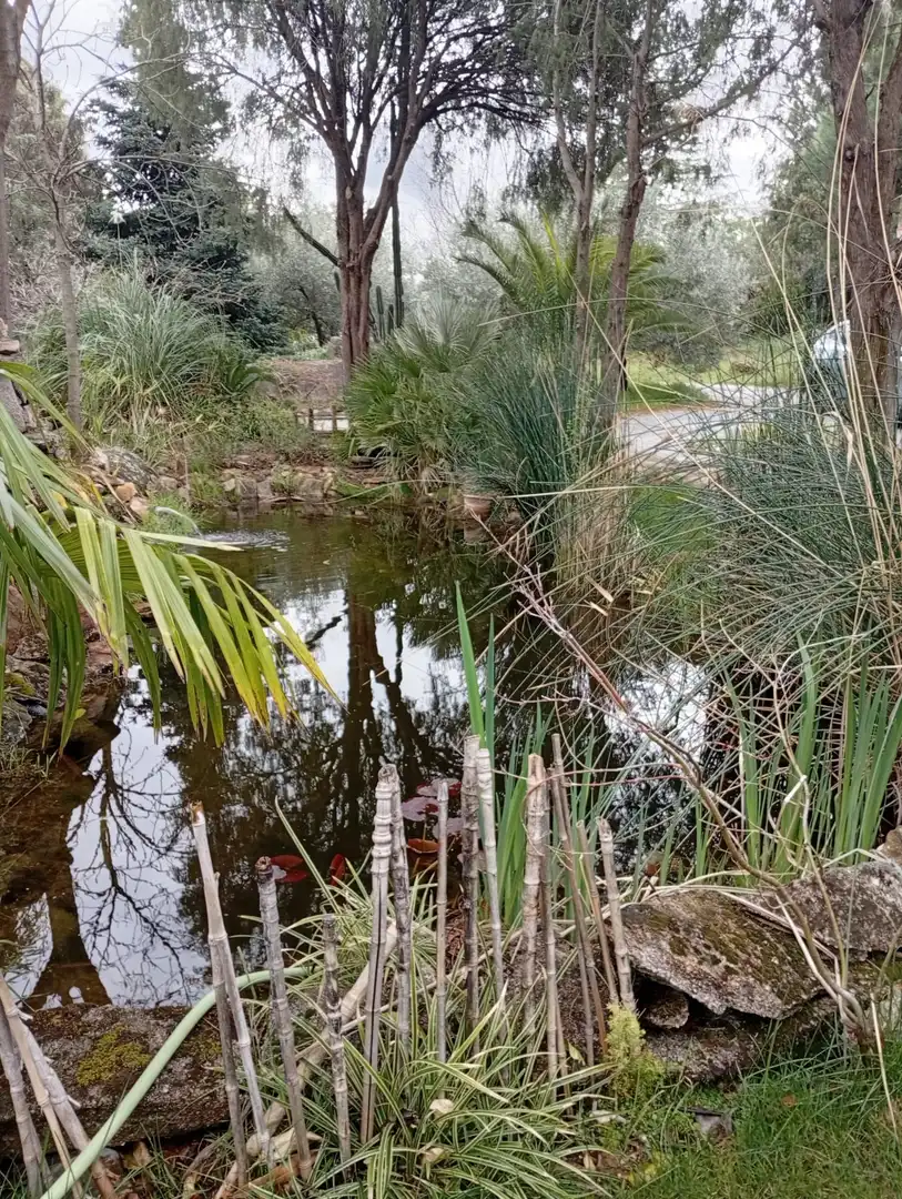 Terreni e lotti in vendita a El Tiemblo, imagen 6