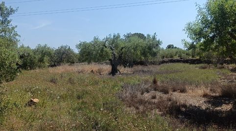 Foto 2 de Residencial en venda a Les Tres Cales, L'Ametlla de Mar
