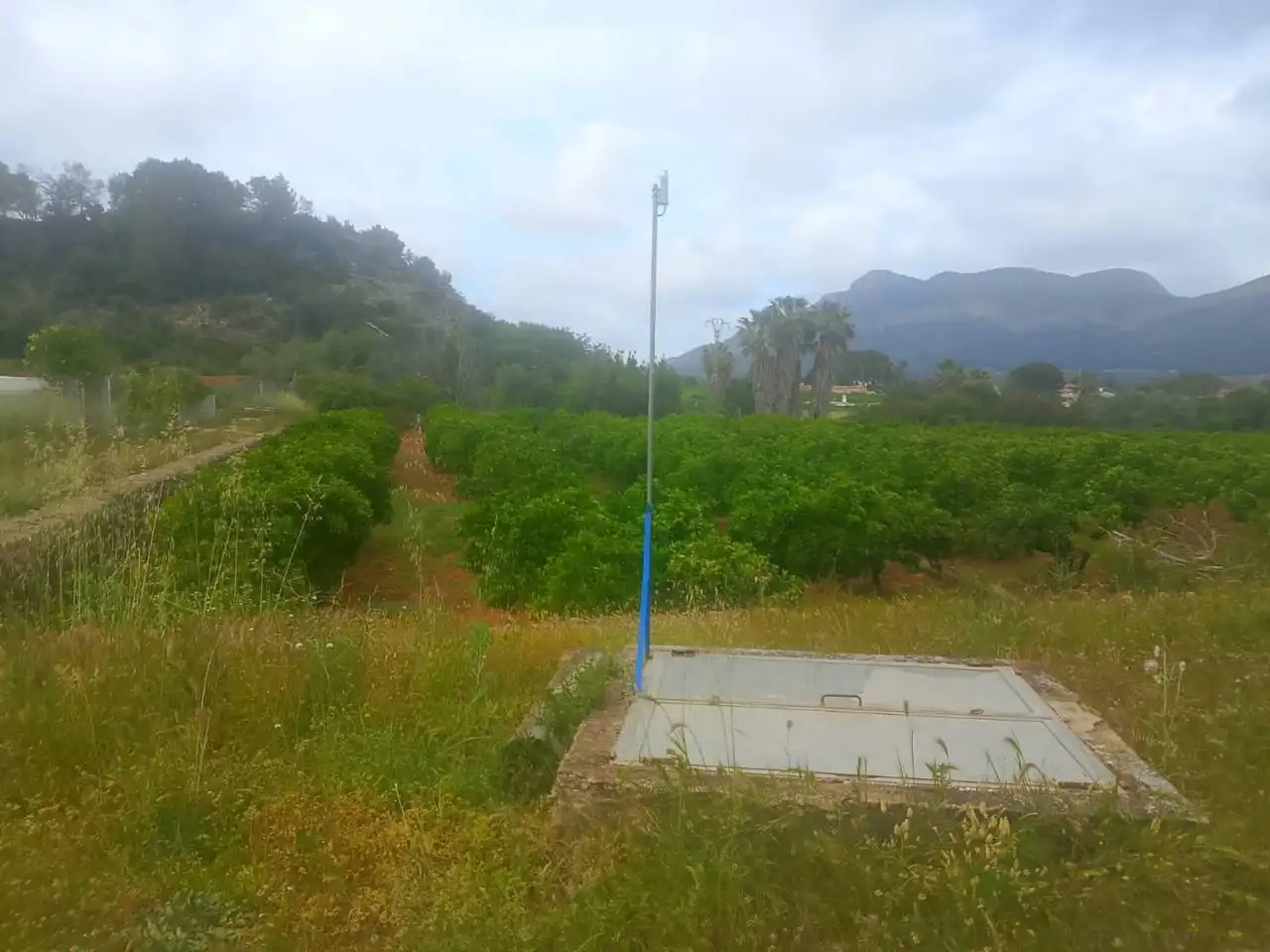 Terrain rustique à vendre à Calle Cami Rural Rotova, imagen 7