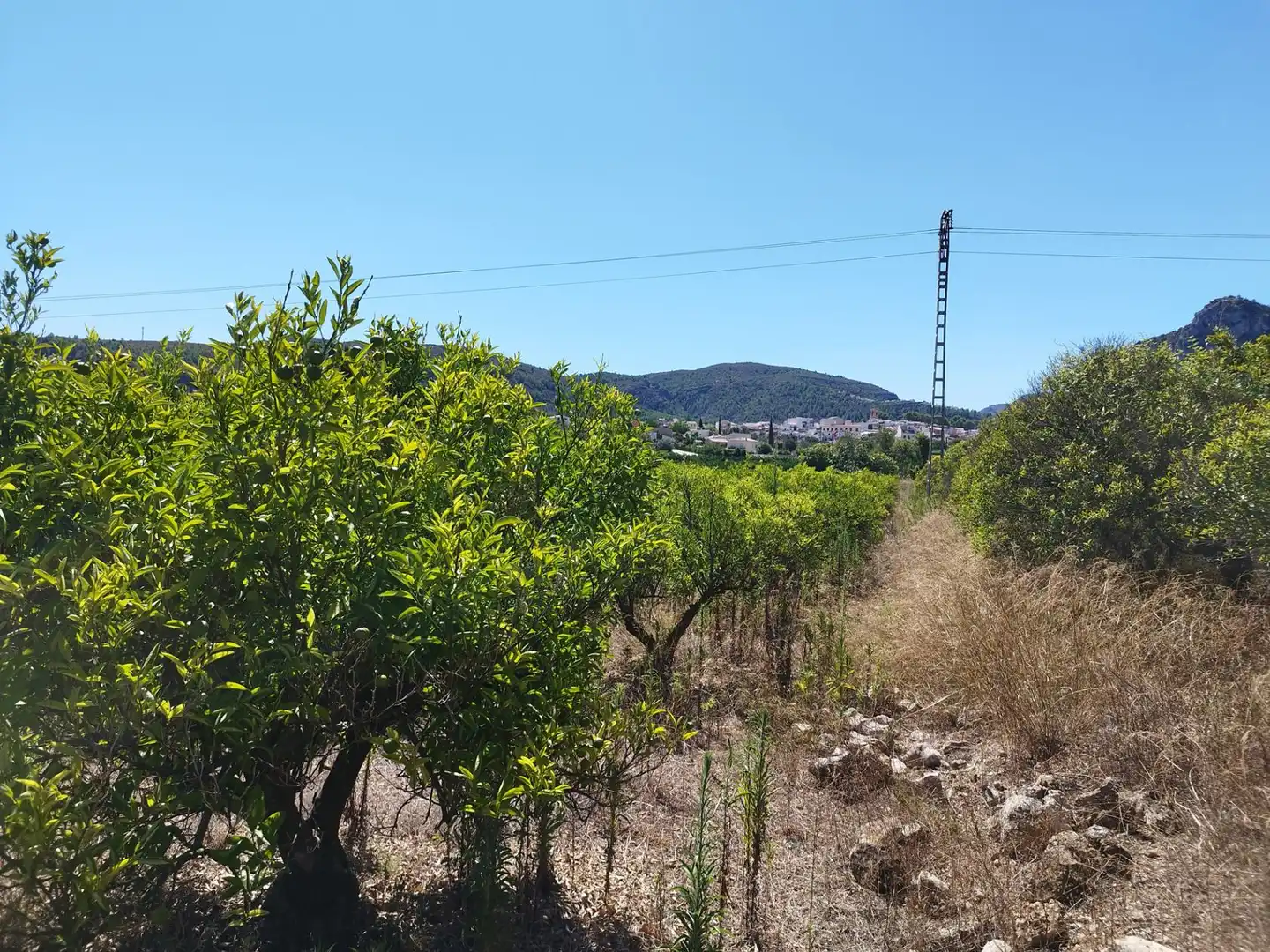 Residential land for sale in Orba, imagen 9