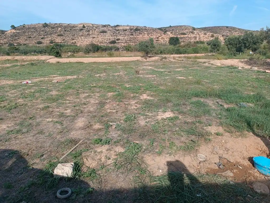 Terreni e lotti in vendita a Avenida Orbe Cano 12, imagen 8