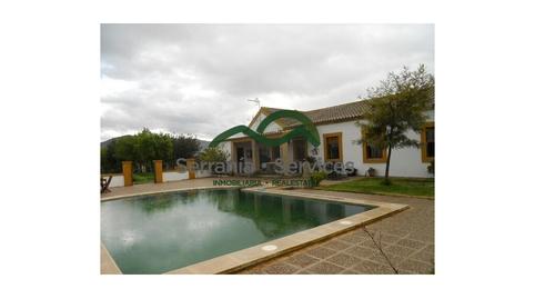 Foto 2 de Finca rústica en venda a Los Molares, Sevilla