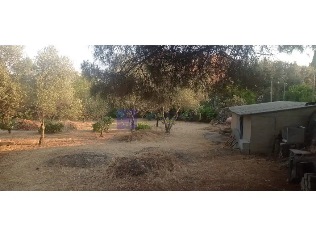 Finca rústica en venta en Malpartida de Cáceres