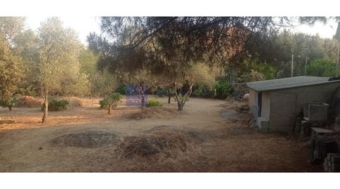 Foto 2 de Finca rústica en venta en Malpartida de Cáceres, Cáceres