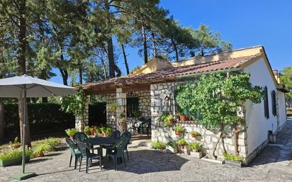 Jardí de Casa o xalet en venda en Cuéllar amb Piscina