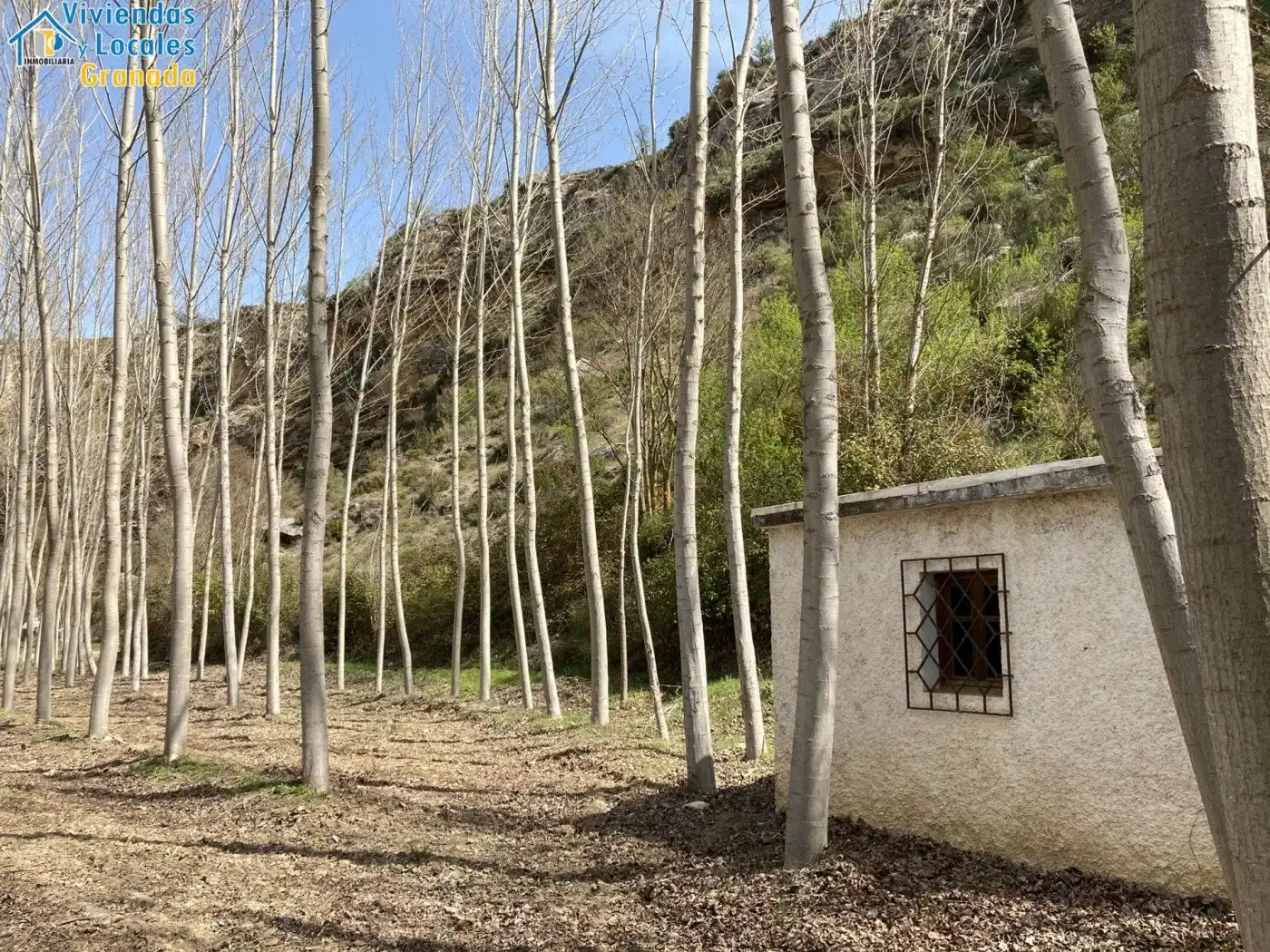 Terreni e lotti in vendita a Alhama de Granada, imagen 45