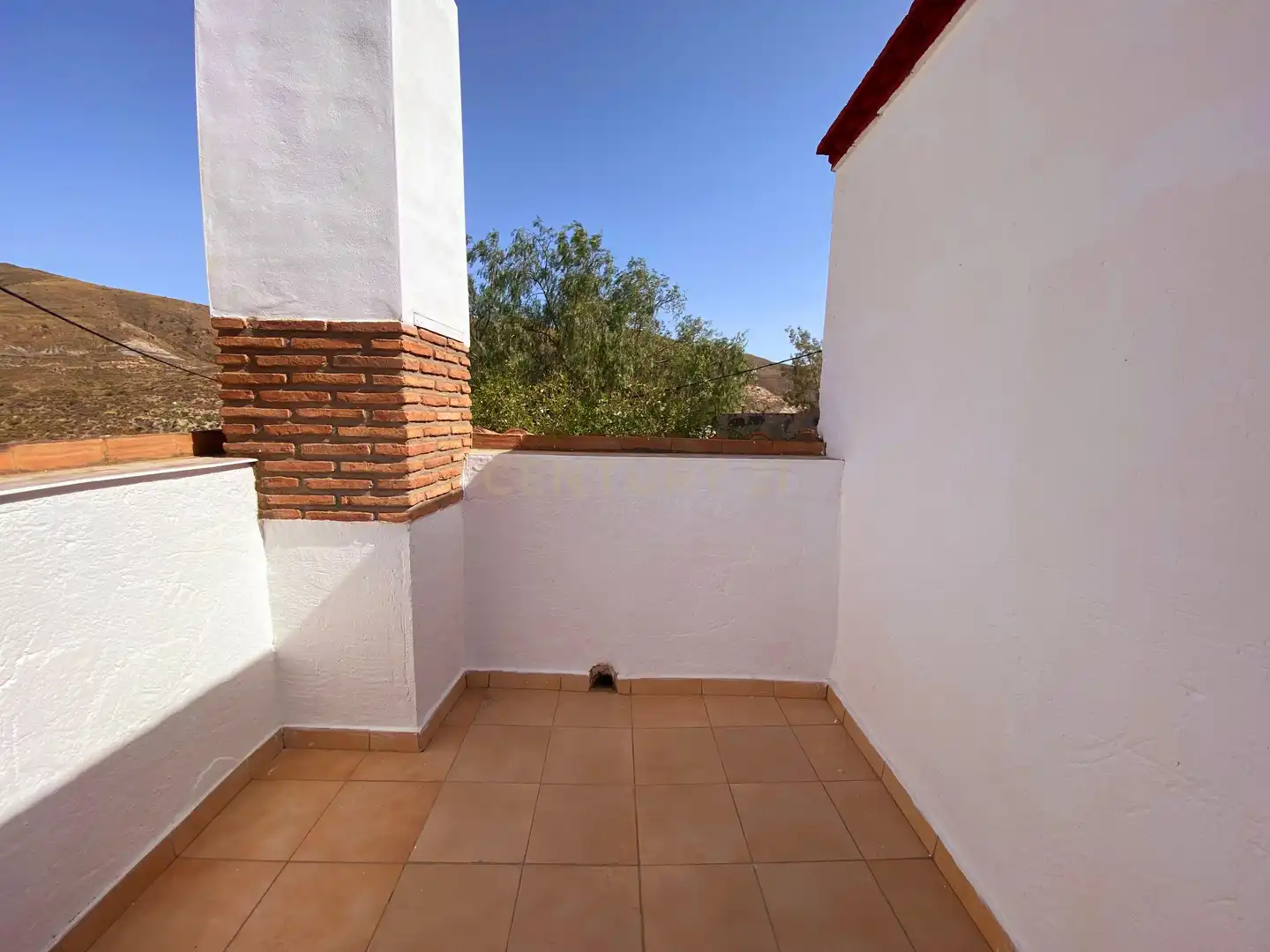 Jardí de Casa o xalet en venda en Berja amb Piscina