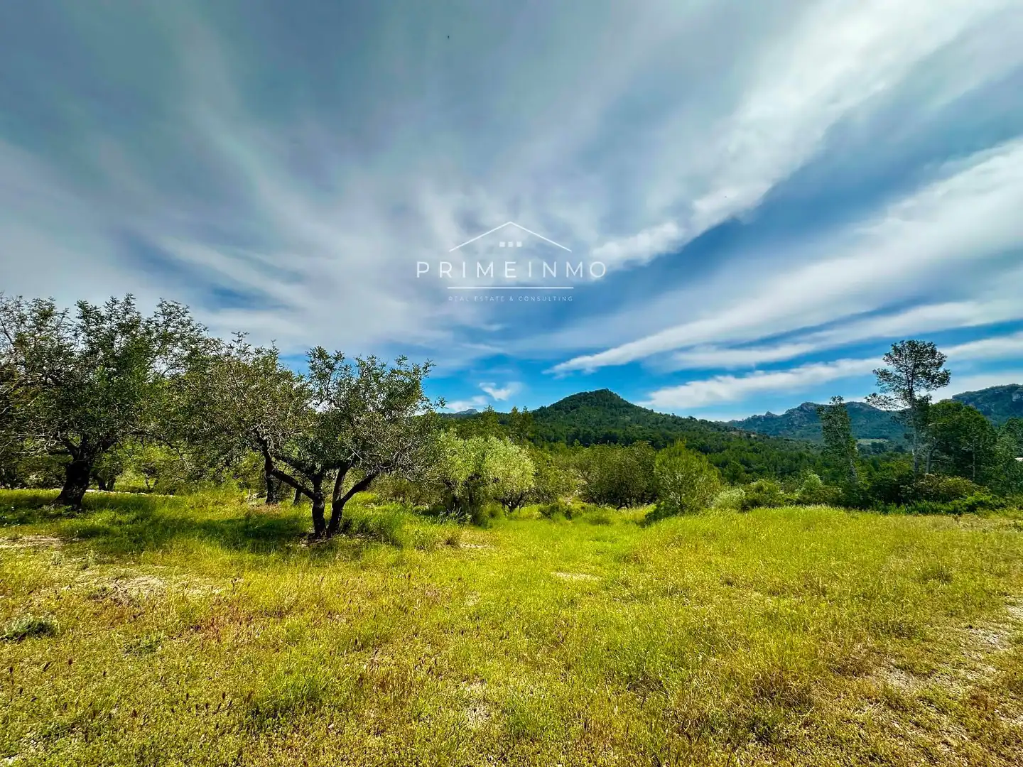 Terreno rústico en venta en Tivissa, imagen 64