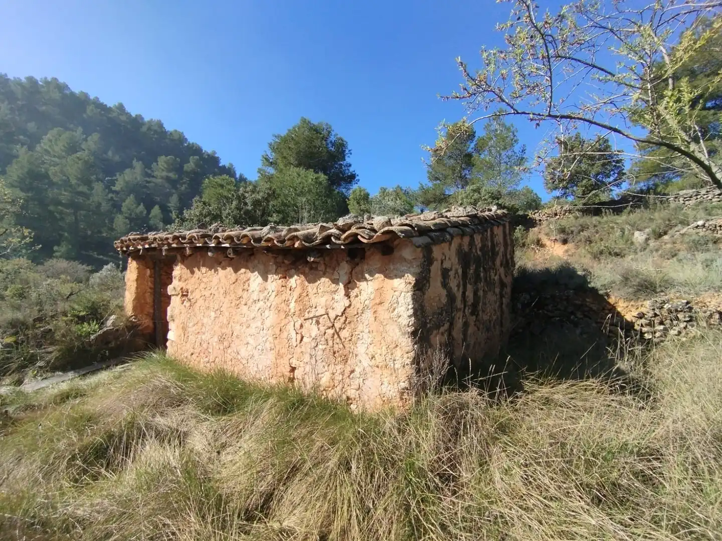 Terreni e lotti in vendita a Beceite, imagen 2