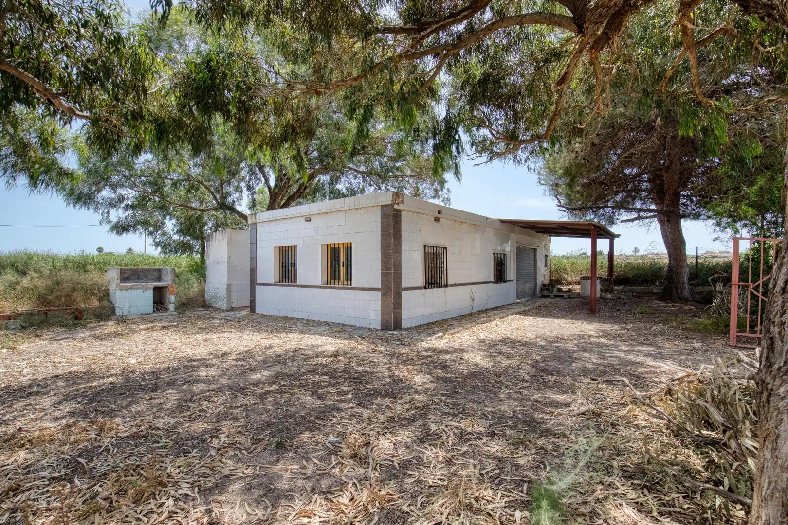 Vista exterior de Finca rústica en venta en Elche / Elx con Jardín privado, Terraza y Trastero
