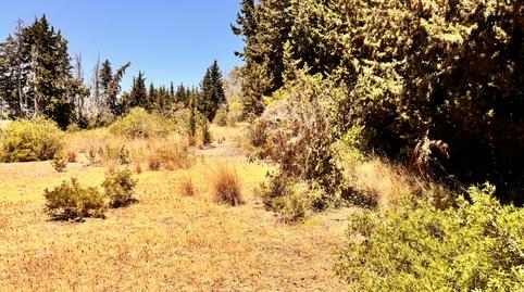 Foto 3 de Residencial en venda a Sotoserena, Málaga