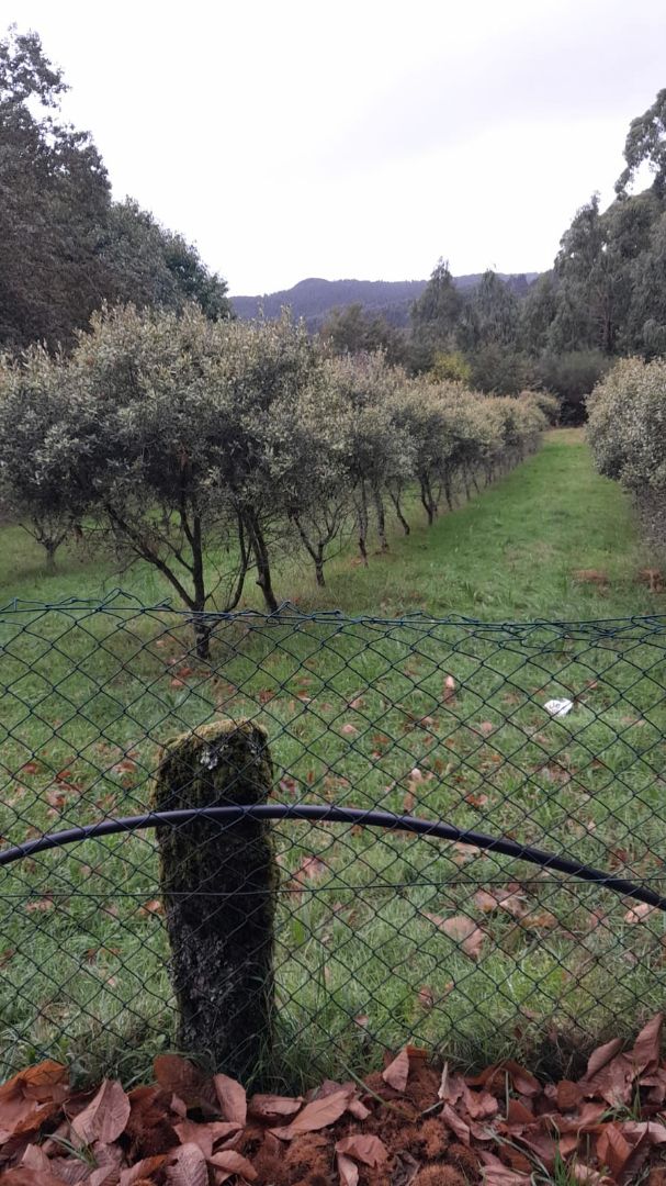 Residential for sale in Covelo