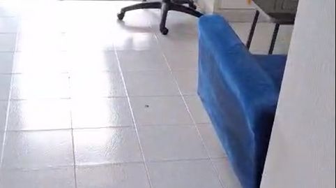 Foto 2 de Apartamento de alquiler en Casco Urbano, Adeje