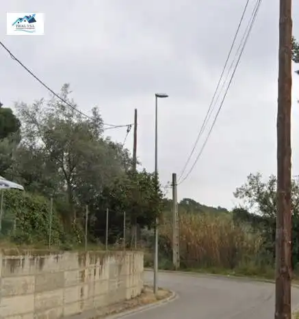 Chalet con jardín en venta en Avenida ARBRES, DELS