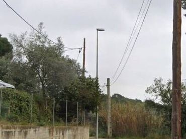 Chalet con jardín en venta en Avenida ARBRES, DELS
