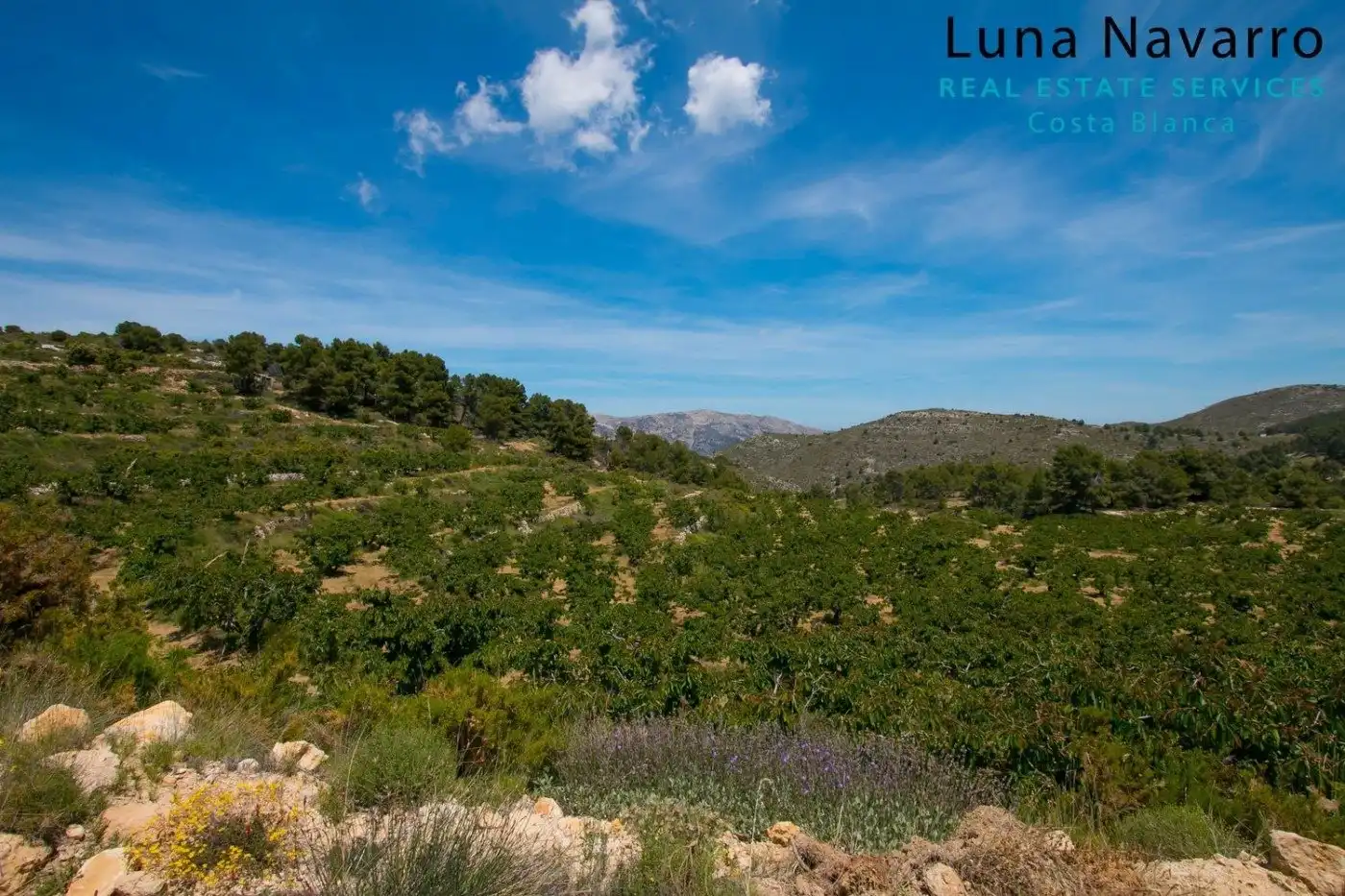 Finca rústica en venta en confrides, Confrides
