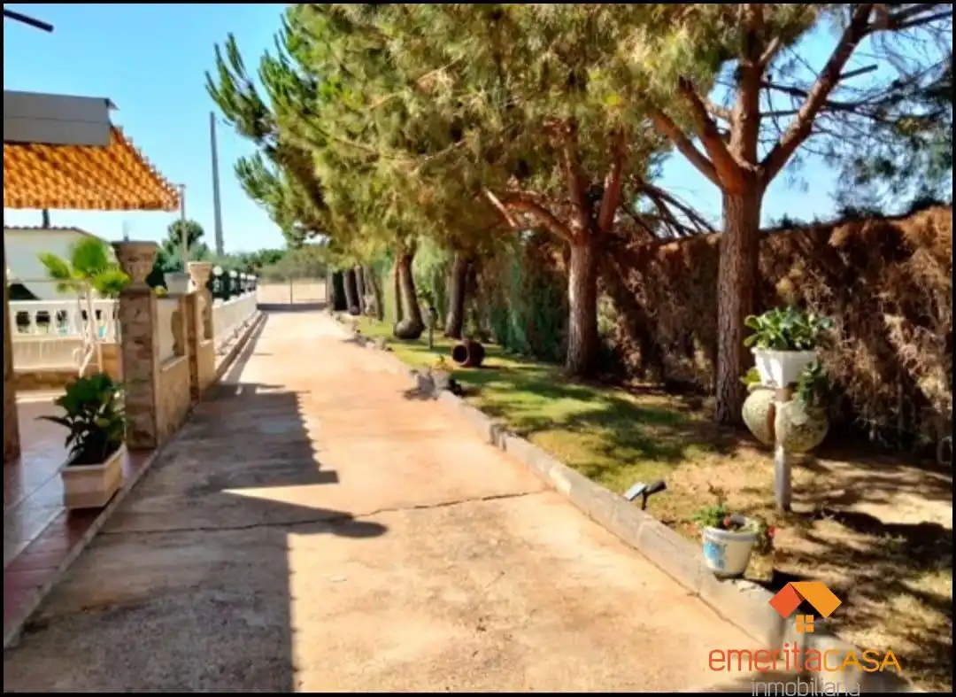 Jardí de Finca rústica en venda en Arroyo de San Serván amb Piscina