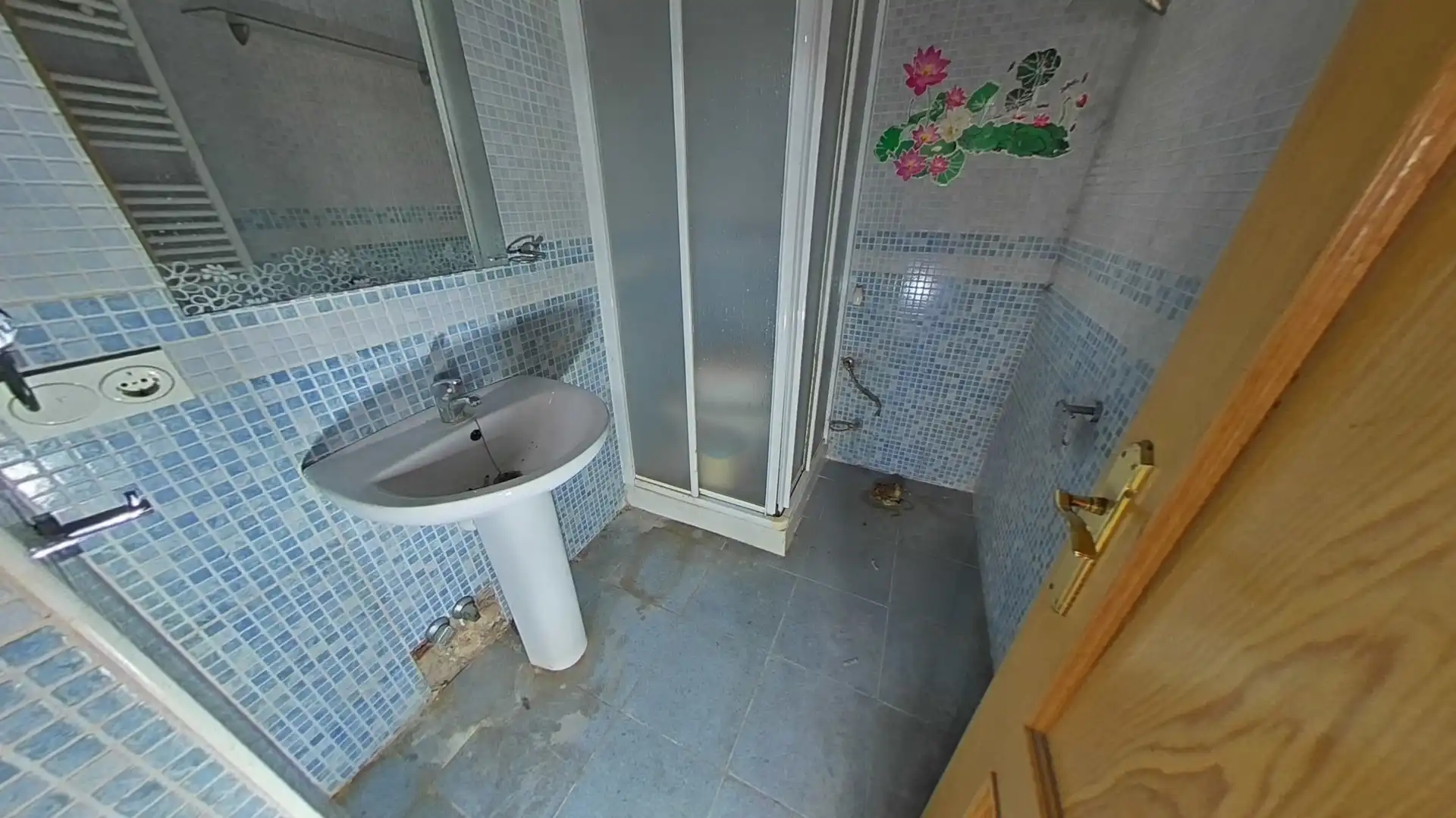 Bathroom of Detached homes for sale in Miguel Esteban