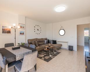 Living room of Flat for sale in Figueres  with Terrace