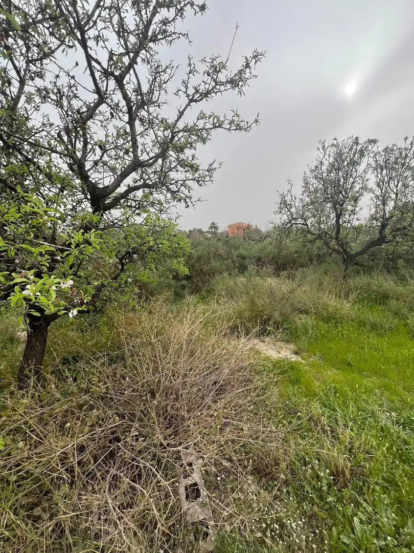 Terrain rustique à vendre à La Algoda - Matola - Llano de San José, imagen 7