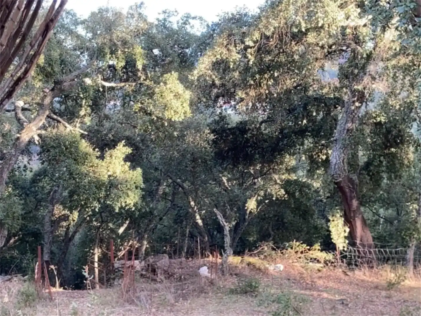 Terreno en venta en Los Marines