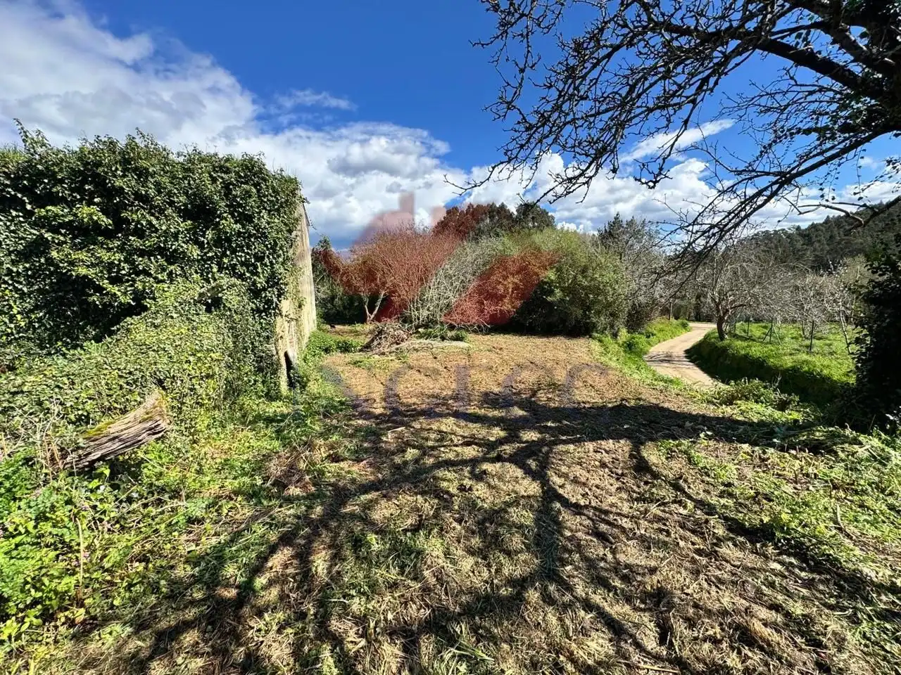 Finca rústica en venda en Abegondo