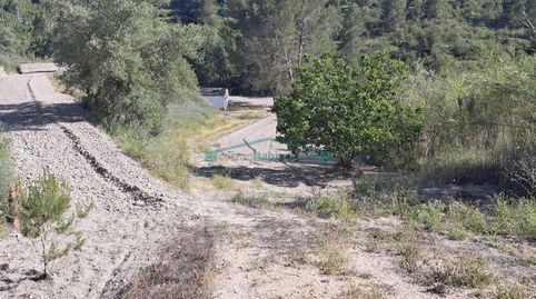 TERRENO RÚSTICO DE 23.055 m2 EN COCENTAINA, immagine 3