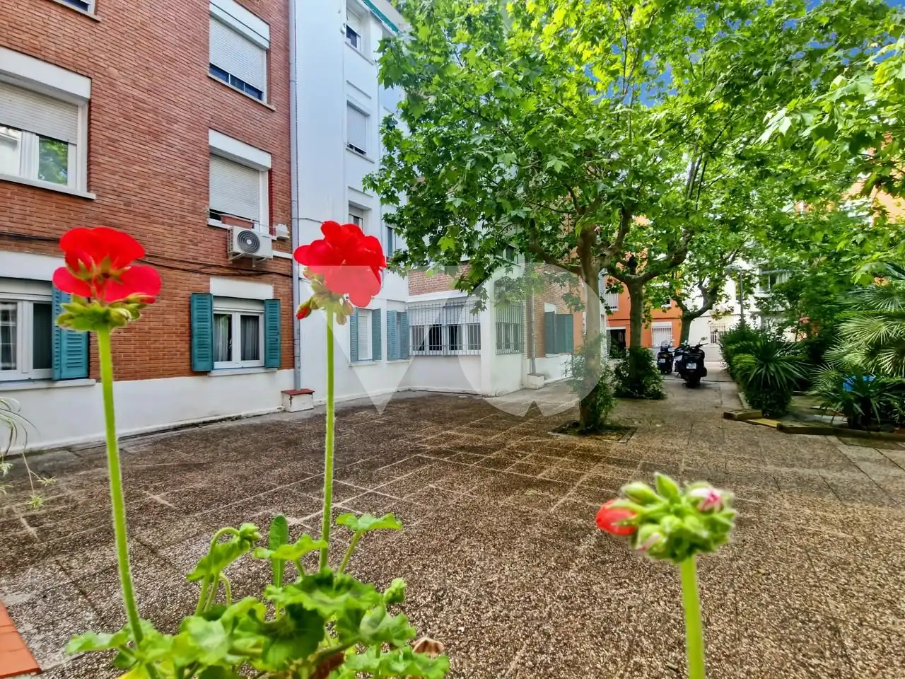 Vista exterior de Planta baja en venta en Madrid con Calefacción y Terraza
