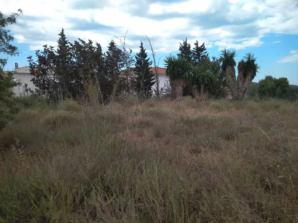 Rural land for sale in Almayate, imagen 4