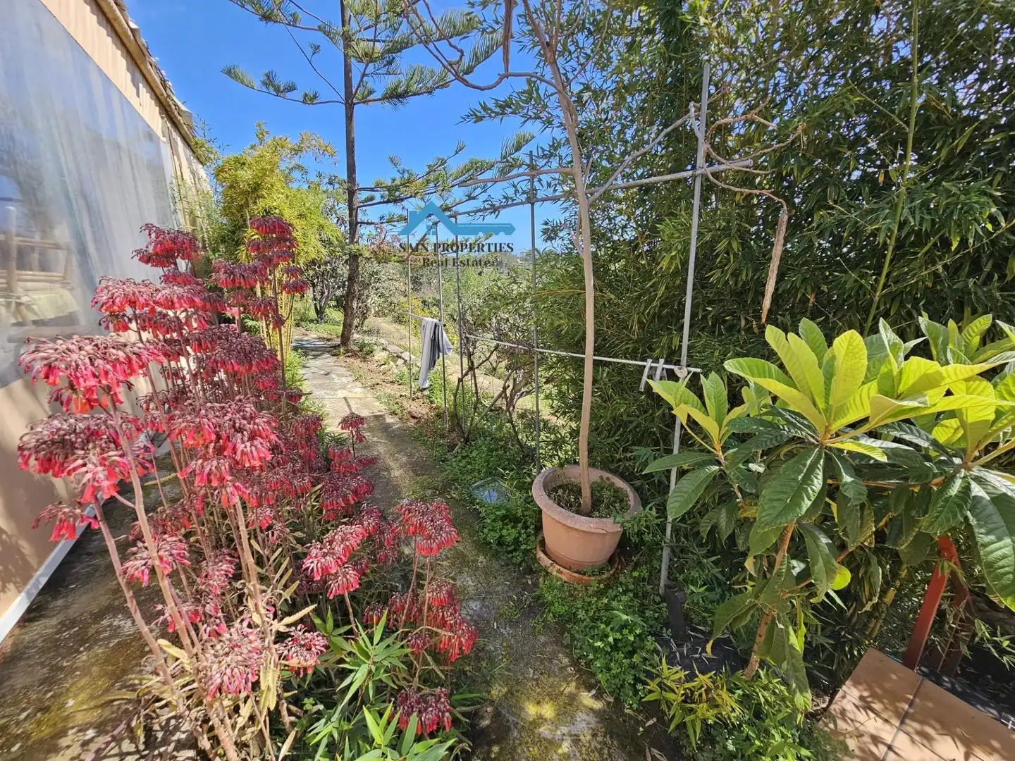 Jardín de Finca rústica en venta en La Nucia con Jardín privado, Terraza y Trastero