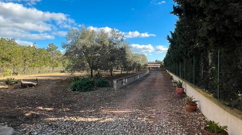 Foto 2 de Finca rústica de alquiler en Carretera de Palma, 33, Vilafranca de Bonany, Illes Balears
