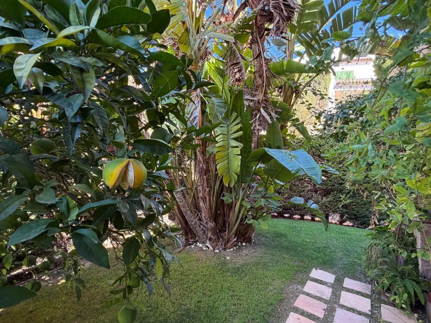Maison mitoyenne avec jardin à louer à Golf Bahía, imagen 74