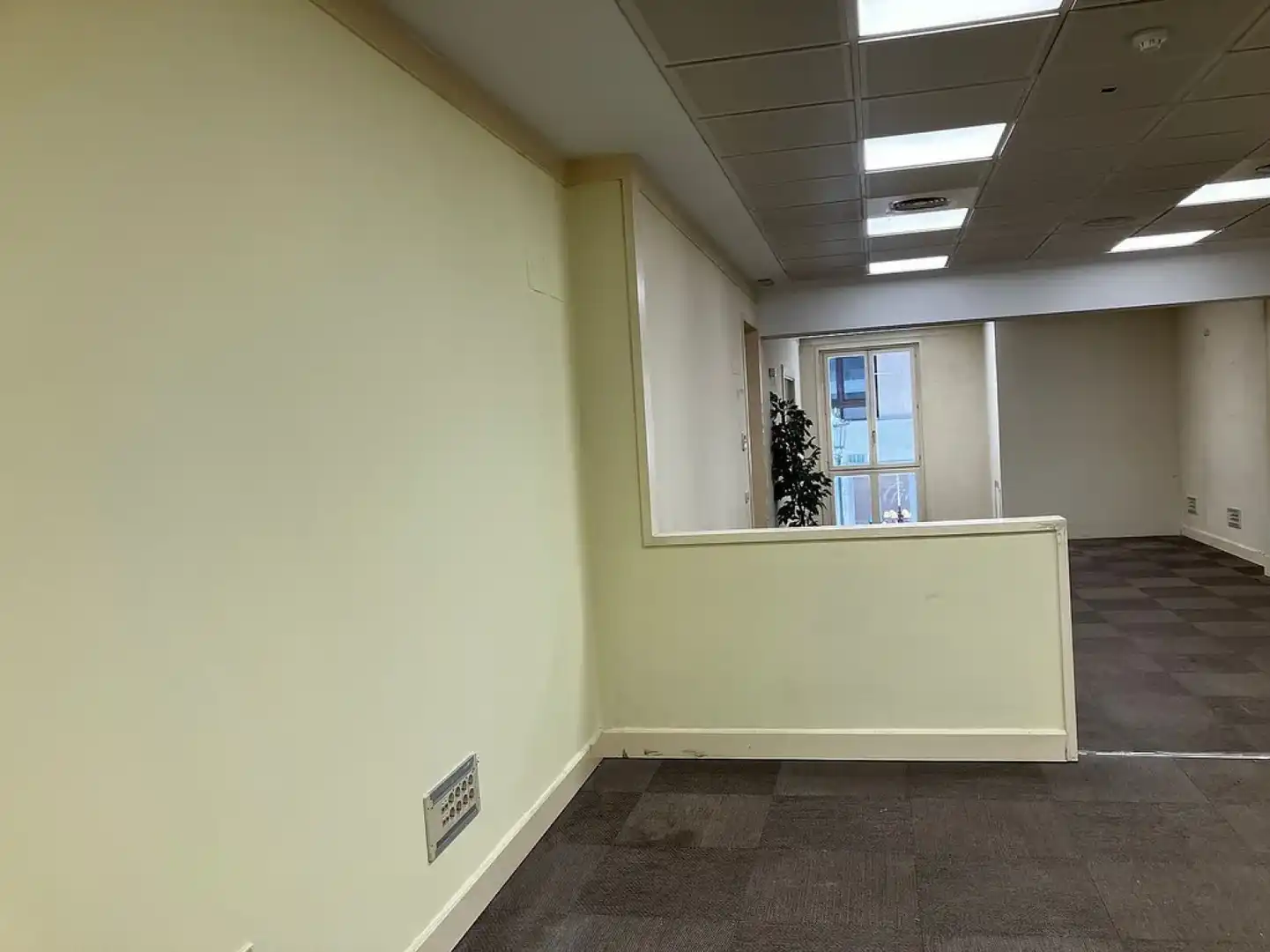 Büro mit Aufzug zur Miete in Oviedo - MARQUES DE PIDAL, imagen 3
