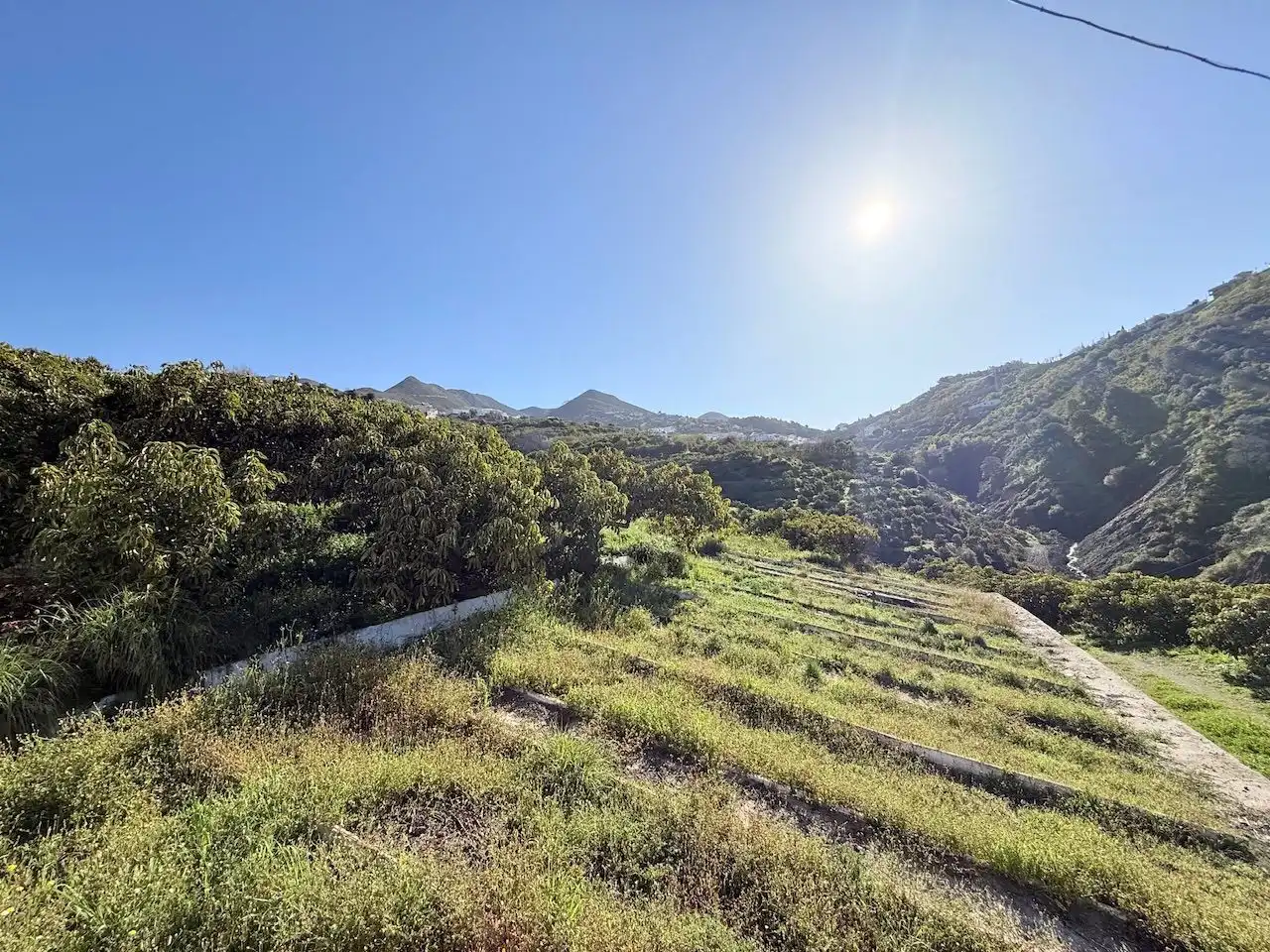 Land for sale in Canillas de Albaida